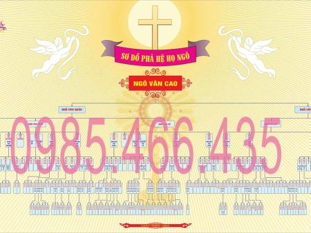 Mẫu phả đồ 13